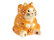 Load image into Gallery viewer, Plump Cat
