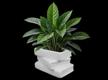 Load image into Gallery viewer, Good Reads Planter
