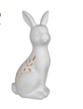 Load image into Gallery viewer, Lighted Lovely Bunny
