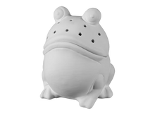Load image into Gallery viewer, Froggy Fruitfly Trap
