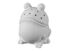 Froggy Fruitfly Trap