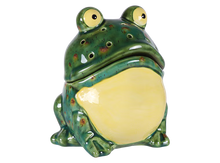 Load image into Gallery viewer, Froggy Fruitfly Trap
