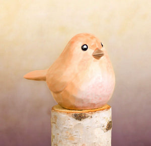 Round Whittle bird
