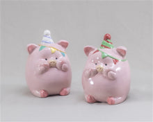 Load image into Gallery viewer, Party Pig
