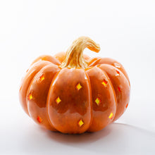 Load image into Gallery viewer, Squatty Pumpkin Light Up
