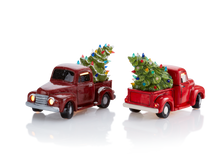 Load image into Gallery viewer, Truck with Tree
