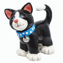 Load image into Gallery viewer, Not So Biggy Cat
