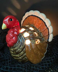 Turkey lantern