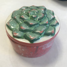 Load image into Gallery viewer, Succulent Box
