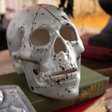 Load image into Gallery viewer, Skull
