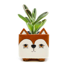 Load image into Gallery viewer, Animal Planter
