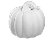 Load image into Gallery viewer, Chunky gourd
