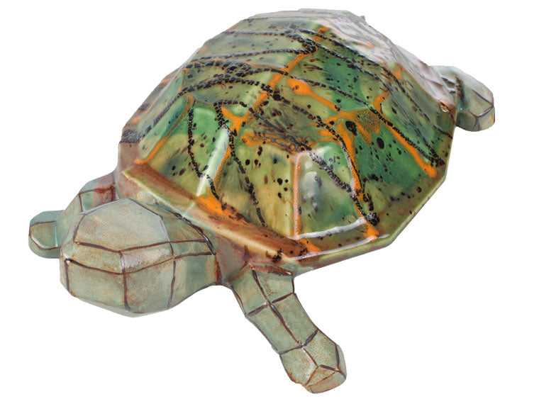 Faceted Turtle