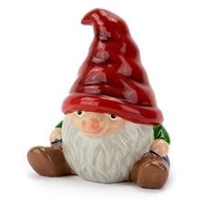 Load image into Gallery viewer, Gnosey the Garden Gnome
