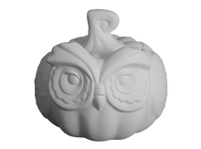 Load image into Gallery viewer, Owl Pumpkin Box
