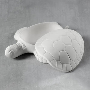 Sea Turtle box