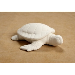 Sea Turtle box