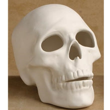 Load image into Gallery viewer, Skull
