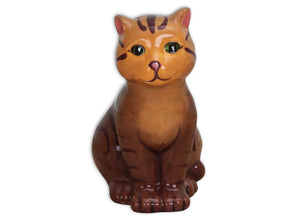 Tabby Cat