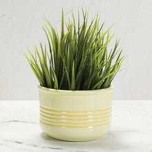 Load image into Gallery viewer, Textured planter - ridged
