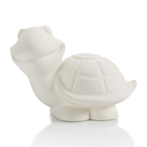 Turtle party