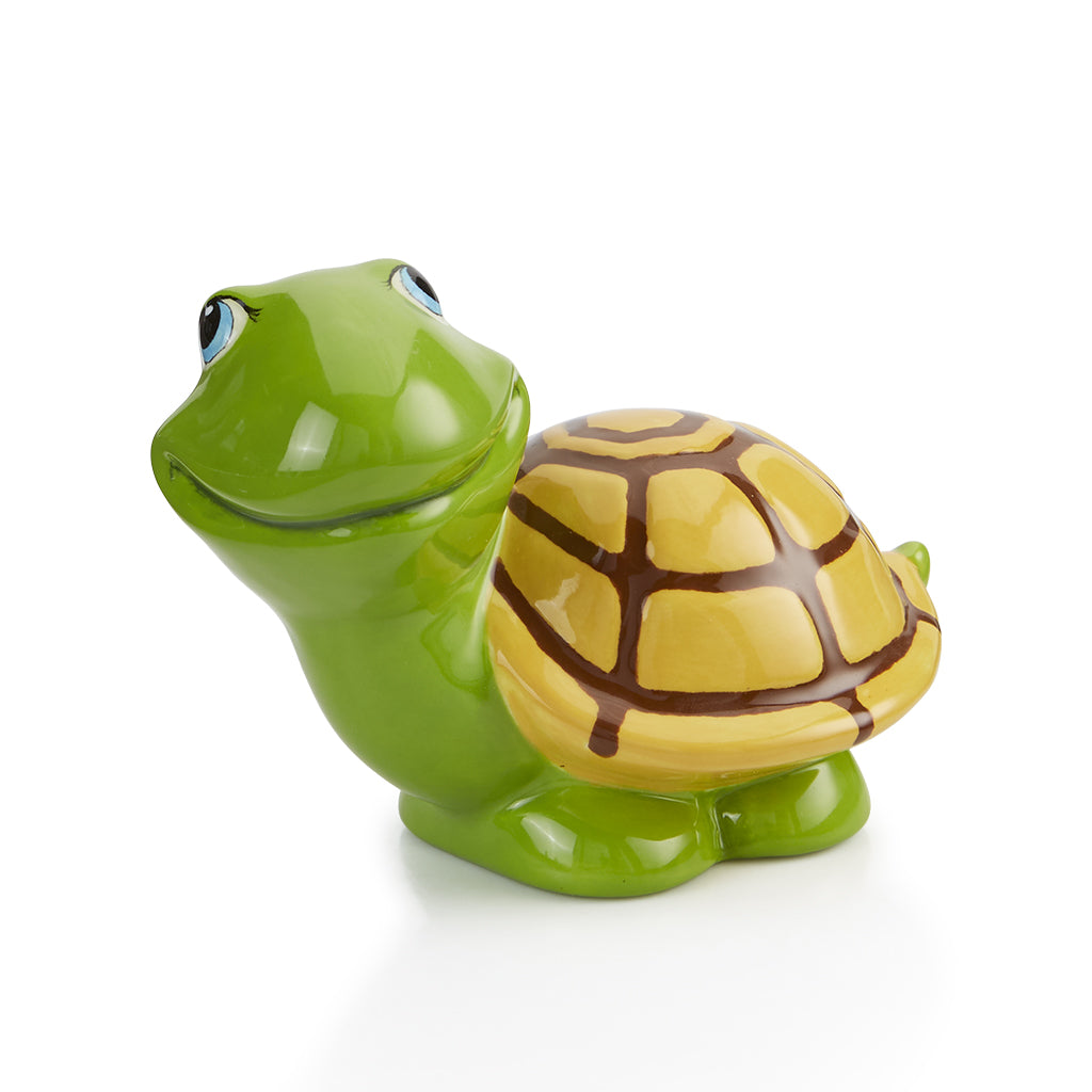 Turtle party